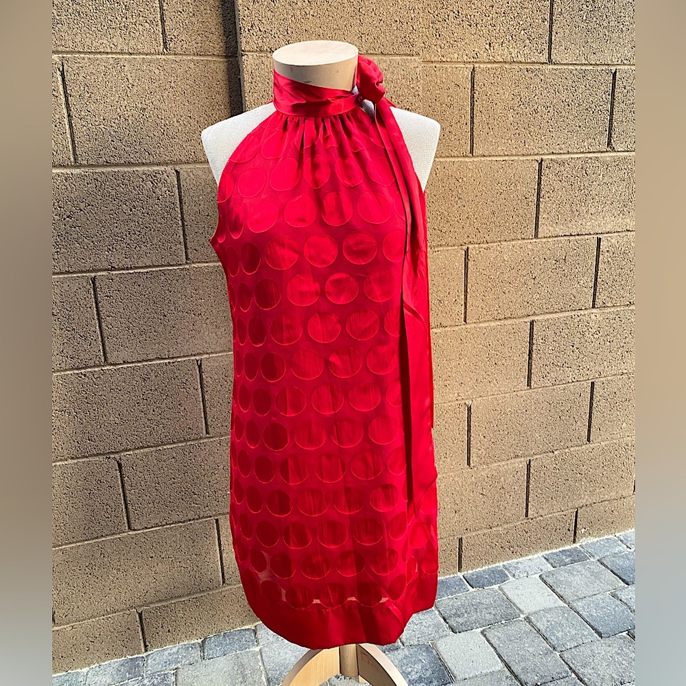 Woman’s Red Polka Dot Dress